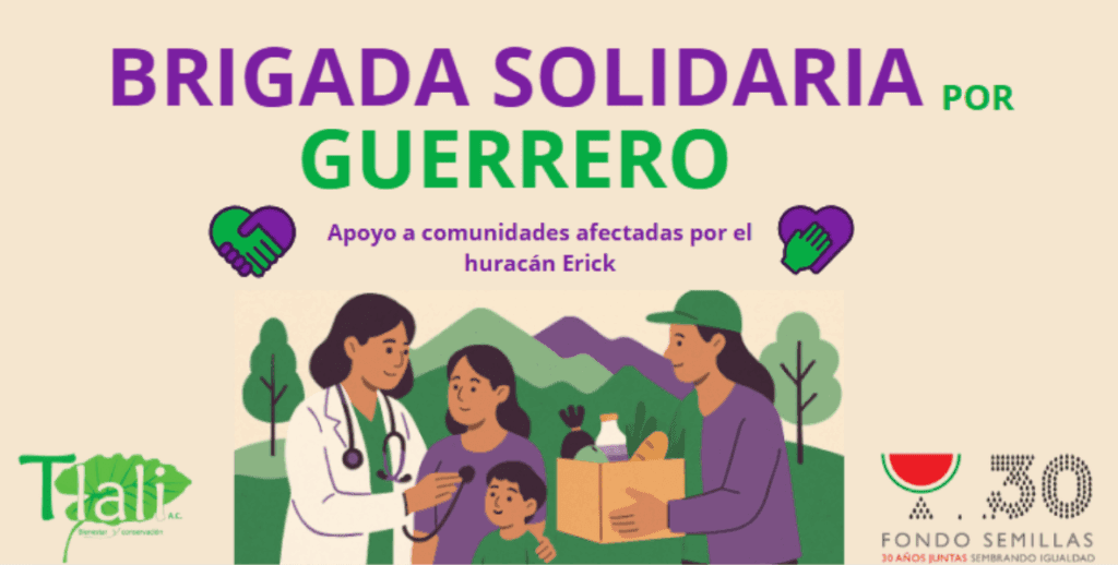Brigada solidaria